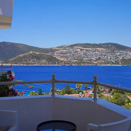 Kalkan Ayapa *